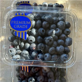 Spray Free Blue Magic Jumbo Blueberry ~ 400g