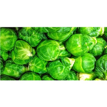 Brussel Sprout /kg