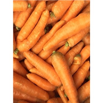 Carrot Juicing - Bulk 20kg