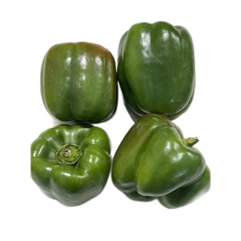 Capsicum Green