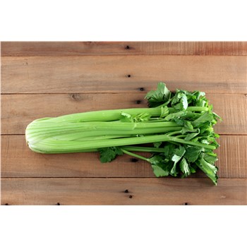 Celery - Organic