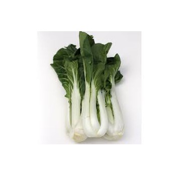 Bok Choy Organic
