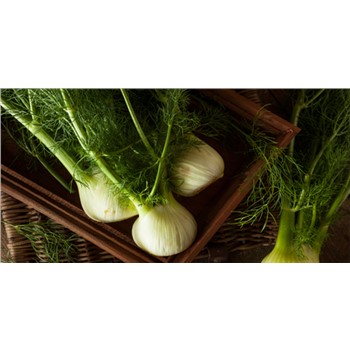 Fennel Bulb each