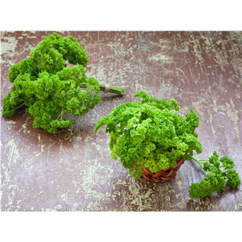 Flat parsley Organic bn