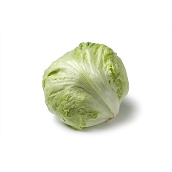 Lettuce Iceberg