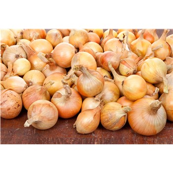 Onions Brown kg