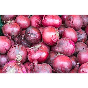 Onions Red kg