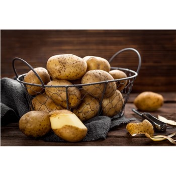 Potato Dutch Cream - Organic