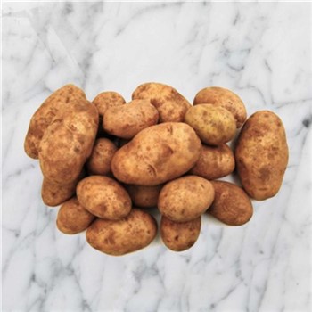 Potato Sebago - Organic