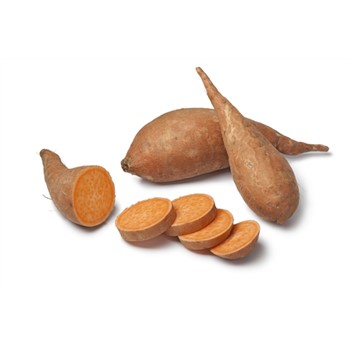 Sweet Potato Gold 
