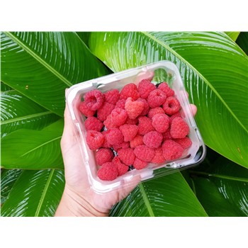 Spray Free Raspberry pn ~125g