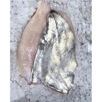 Silver dory fillet NSW