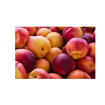 Nectarine White