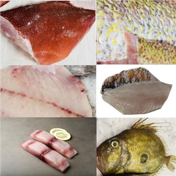 EOI - Other Wild Caught Fish for Easter