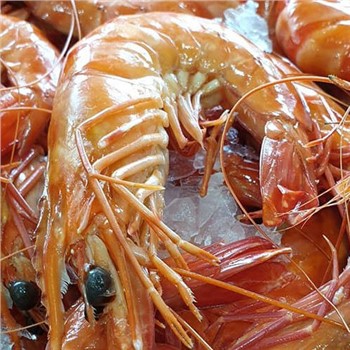 Cooked Tiger Prawns QLD - FROZEN 3kg Box