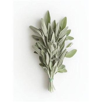 Sage Bunch - Local Spray Free