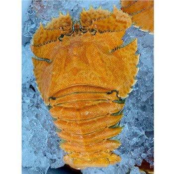 Balmain bugs per kg (~100g ea) - cooked