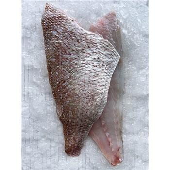 Pink snapper fillets NZ ~250g each