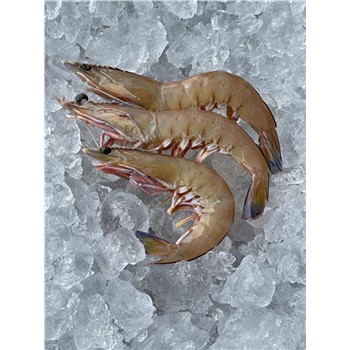 Green King Prawns, SA - Wild Caught, Large 500g 