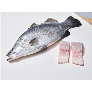 Infinity Blue Baby Barramundi FIllets ~250g each