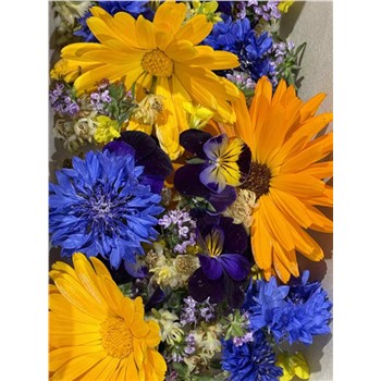 Edible Flower Punnet - Local Spray Free